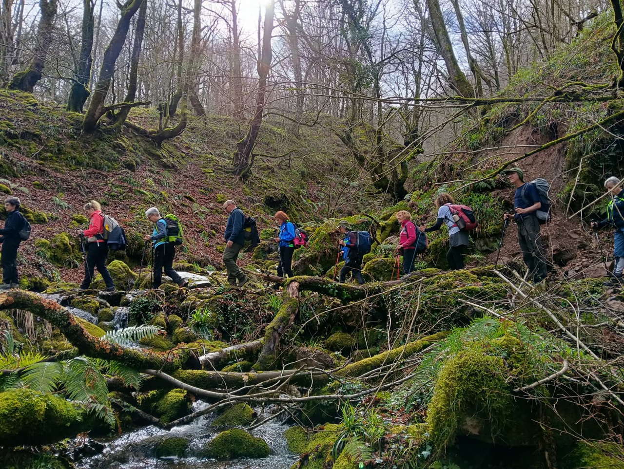 WhatsApp Image 2026-03-08 at 19.34.45